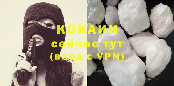 гашик Белоозёрский