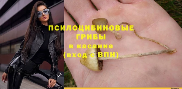 крисы Беломорск