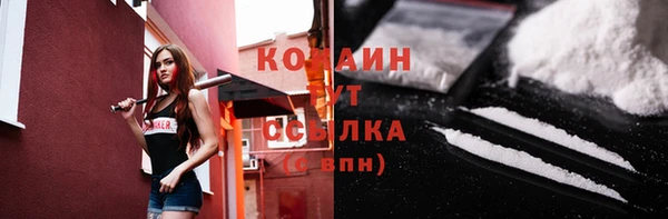 гашик Белоозёрский