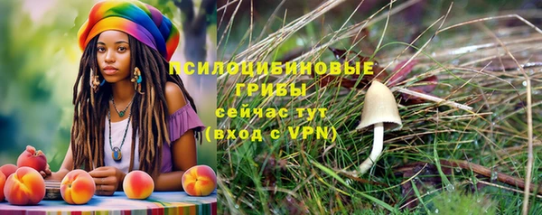 крисы Беломорск