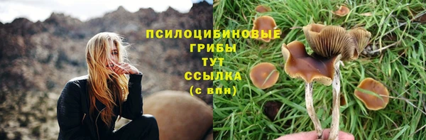 крисы Беломорск