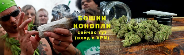 крисы Беломорск